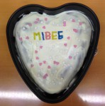 mibeg-Institut Herz
